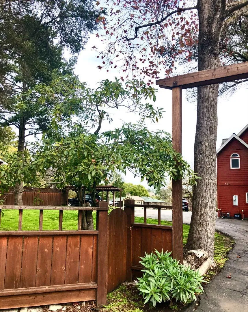414 California Street Santa Cruz, CA 95060