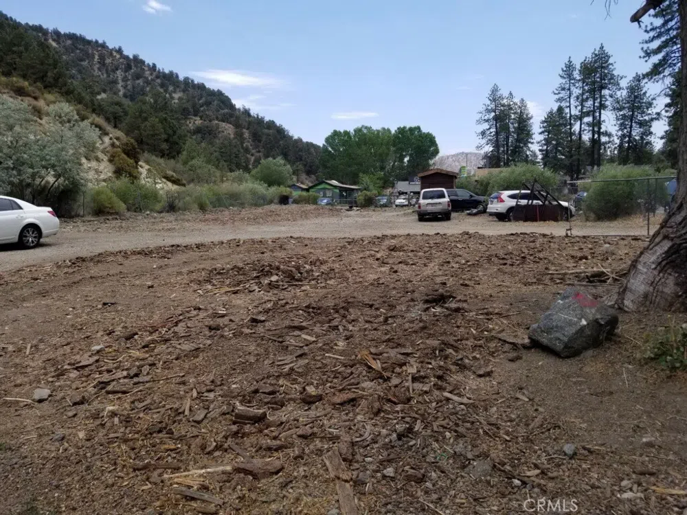 1202 Hwy 2 Wrightwood, CA 92397
