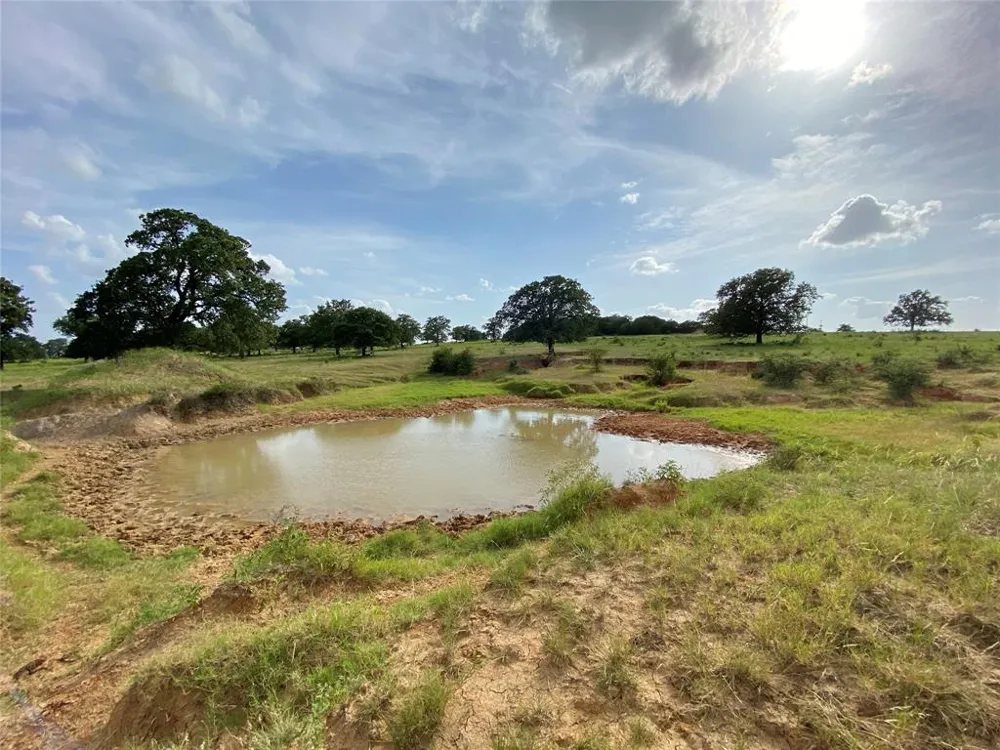 1605 Tolar Cemetery Road Tolar, TX 76476