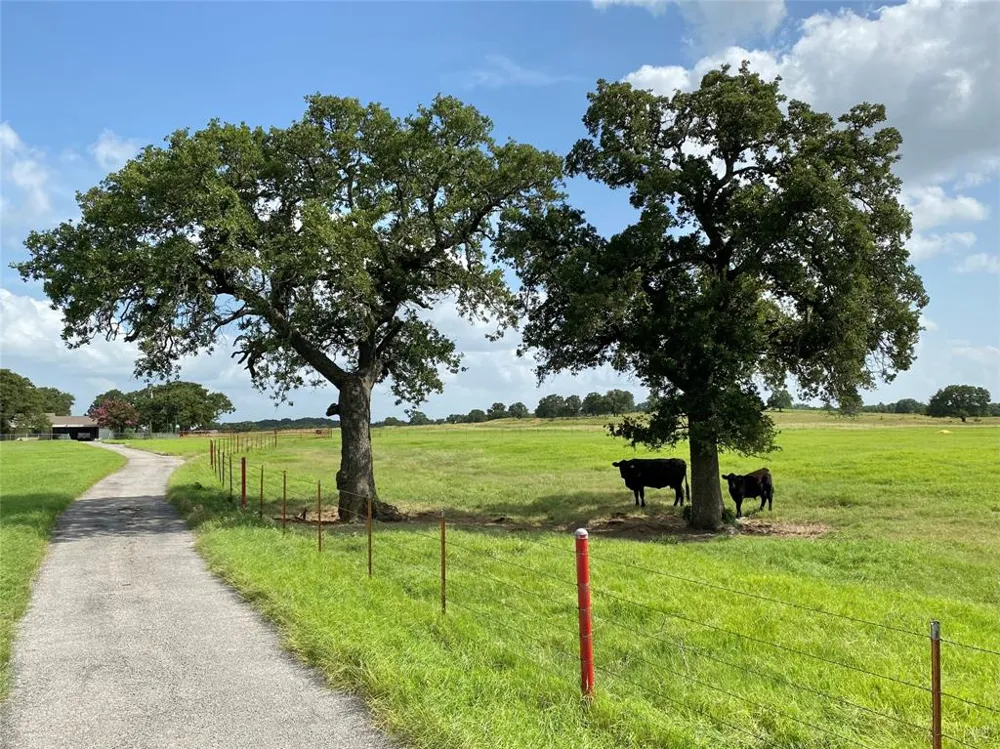 1605 Tolar Cemetery Road Tolar, TX 76476