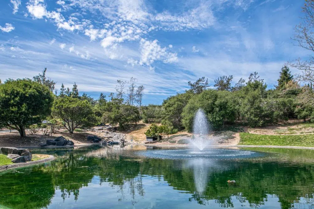 20565 Cathrein Court Salinas, CA 93907