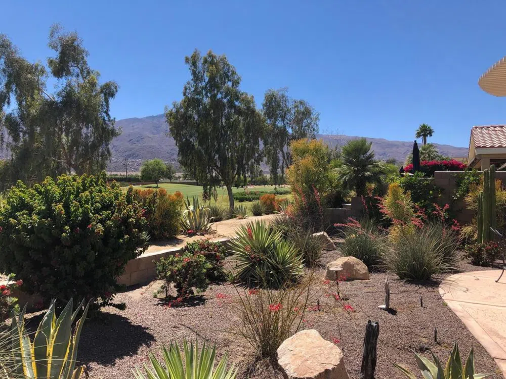 81565 Rustic Canyon Drive La Quinta, CA 92253