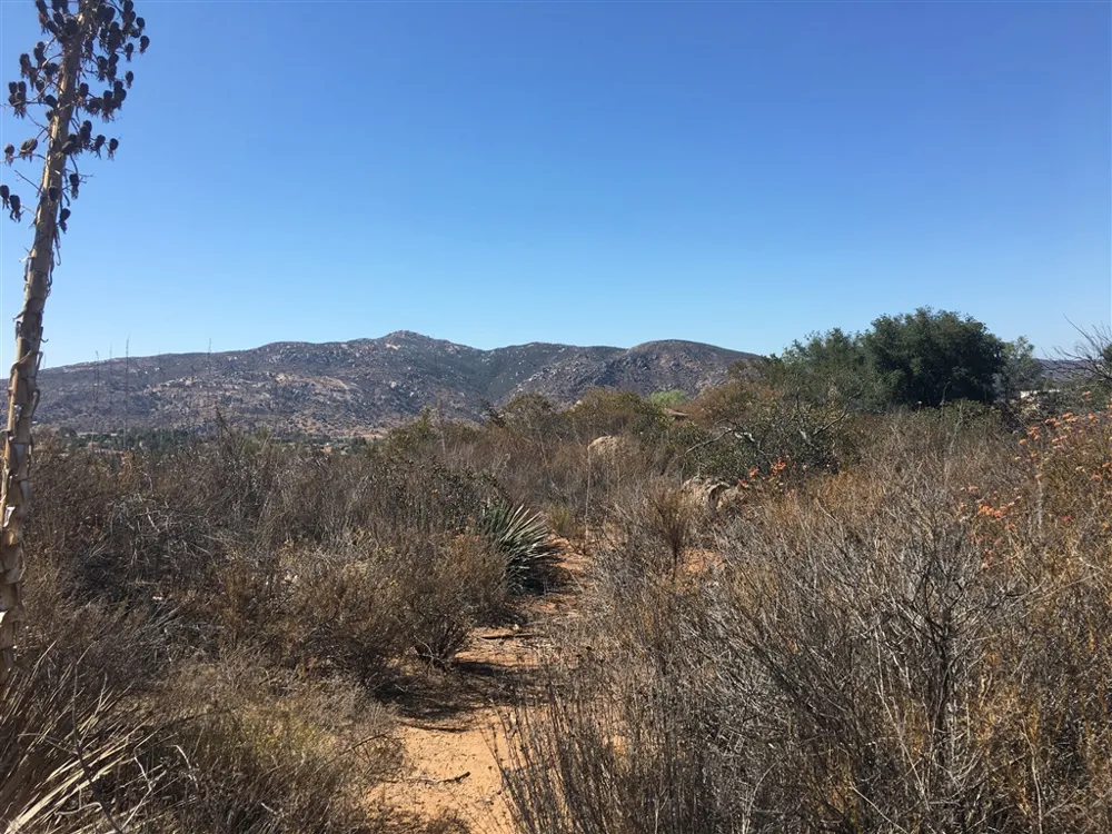 Quail Canyon Rd. El Cajon, CA 92021