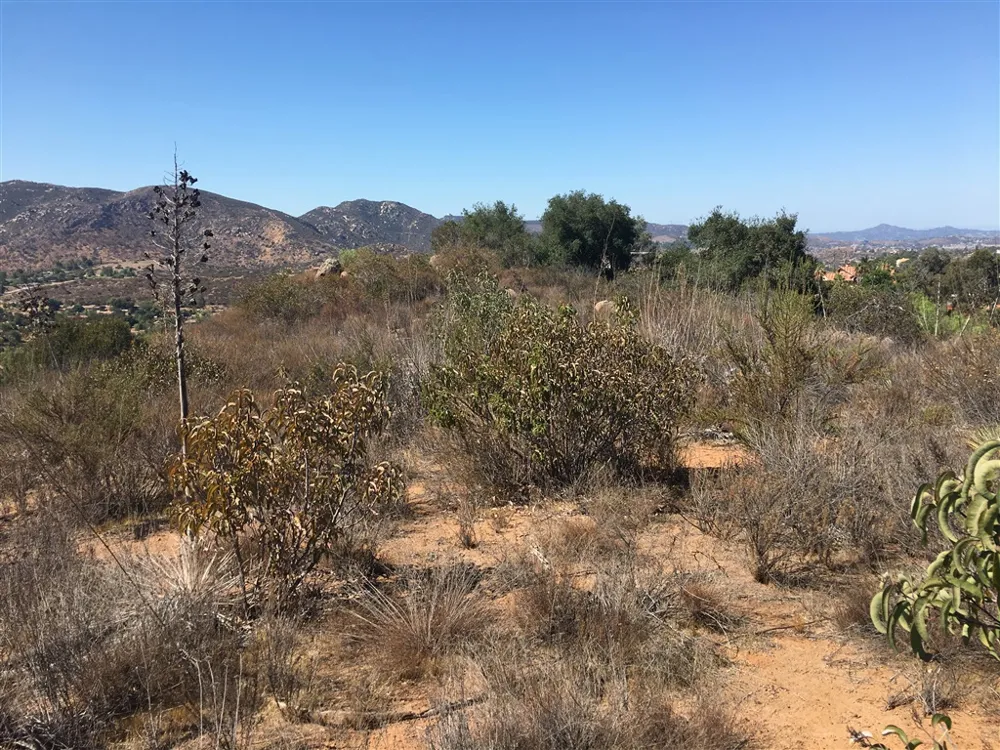 Quail Canyon Rd. El Cajon, CA 92021