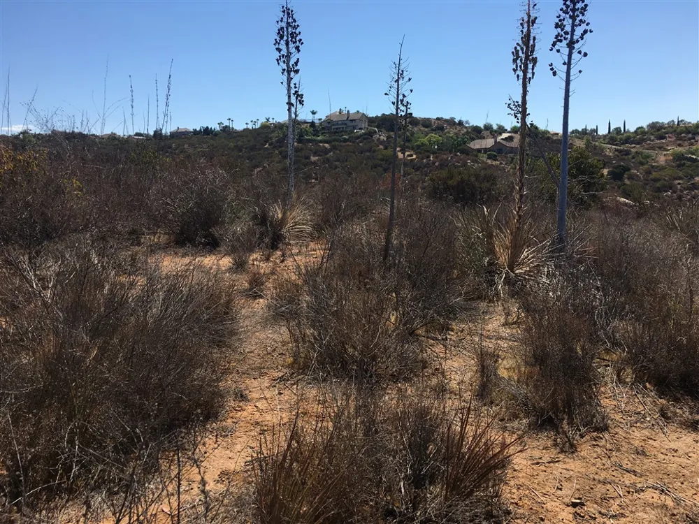 Quail Canyon Rd. El Cajon, CA 92021