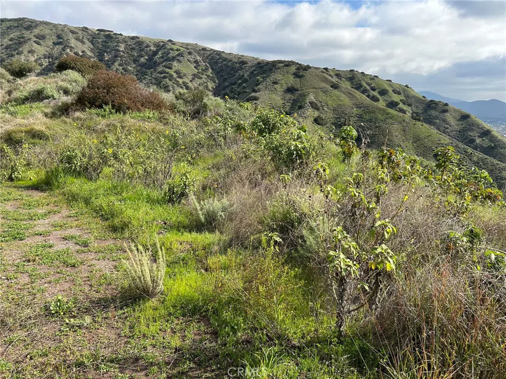 8678-030-029 San Dimas, CA 91773