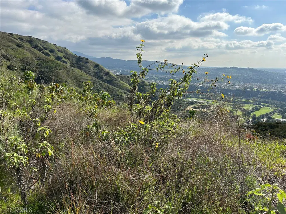 8678-030-029 San Dimas, CA 91773