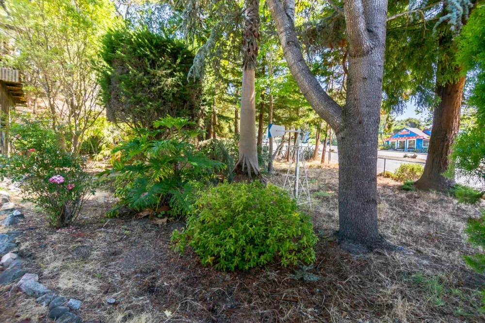 5035 Soquel Drive Soquel, CA 95073