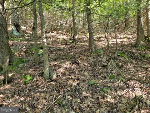 LOT 89 RIDGE RUN