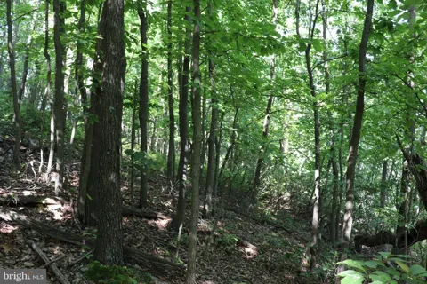 LOT 320 RIDGE RUN