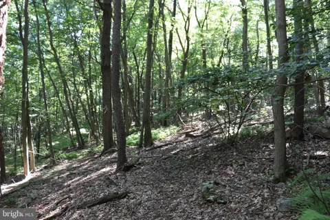 LOT 319 RIDGE RUN