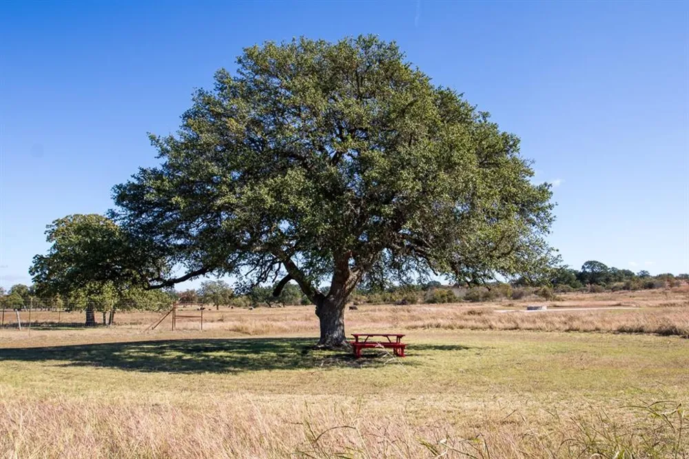 404 Strada Luca Florence, TX 76527