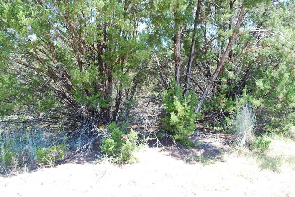 8183 Cedar Crest Drive Whitney, TX 76692
