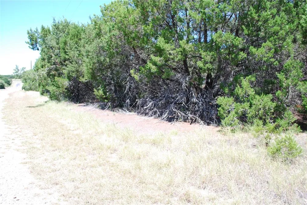 8183 Cedar Crest Drive Whitney, TX 76692