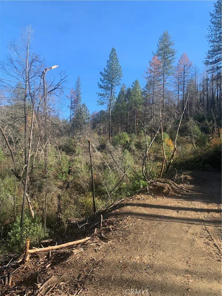 Four Trees Road Concow, CA 95965