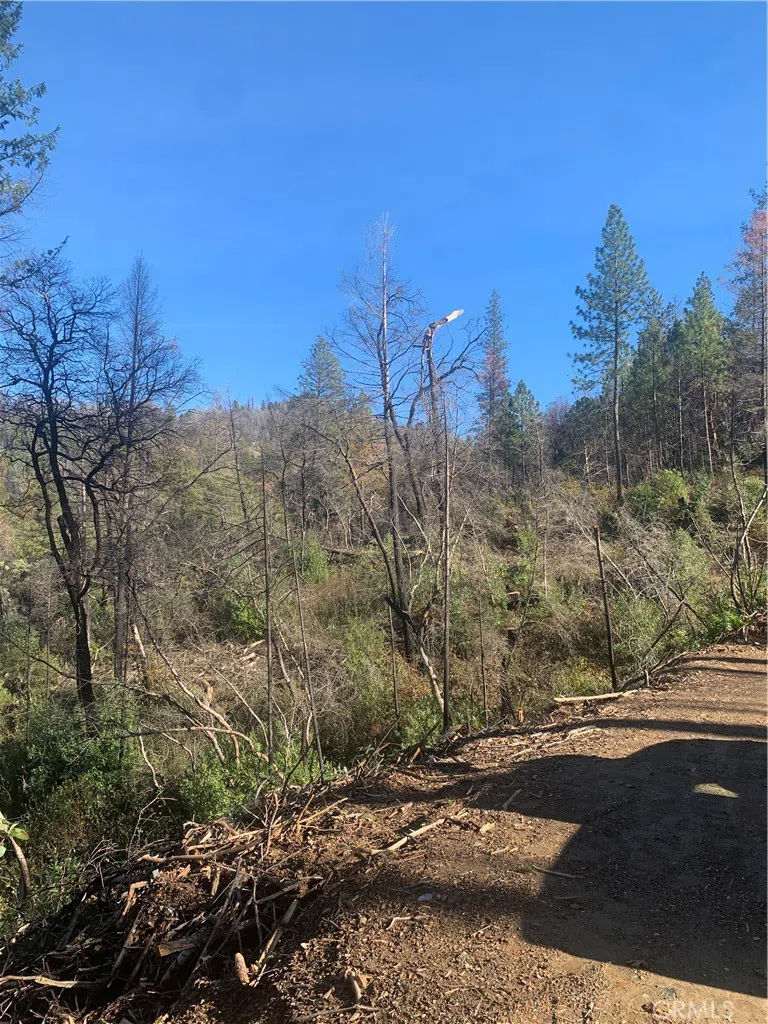 Four Trees Road Concow, CA 95965