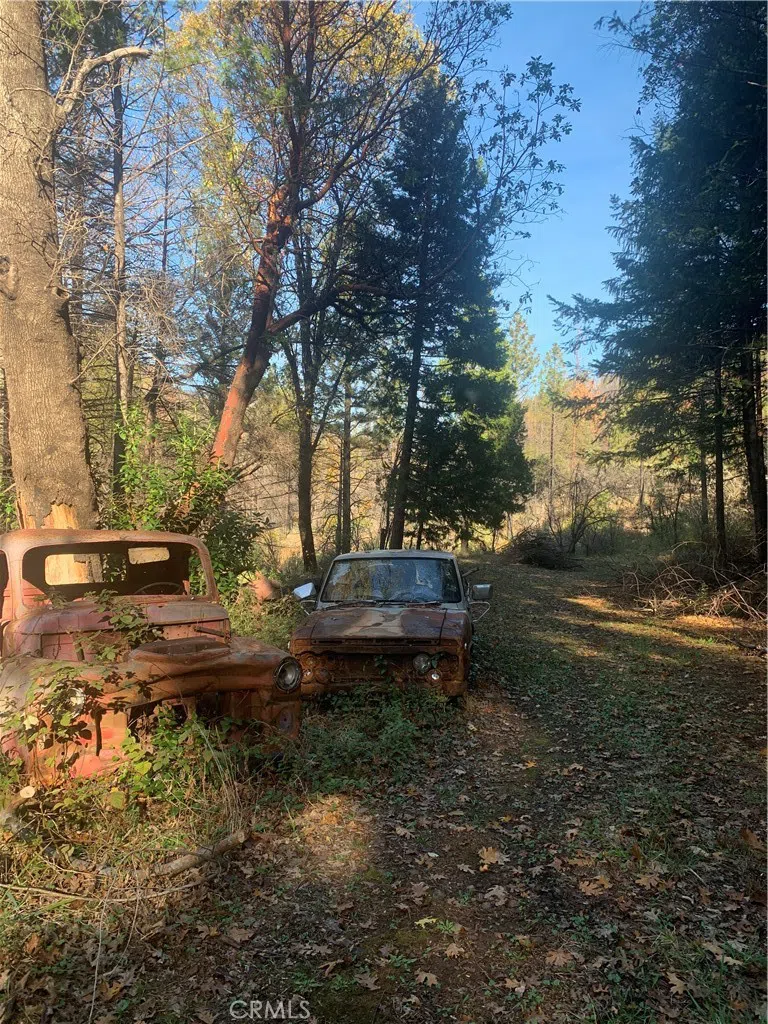 Four Trees Road Concow, CA 95965
