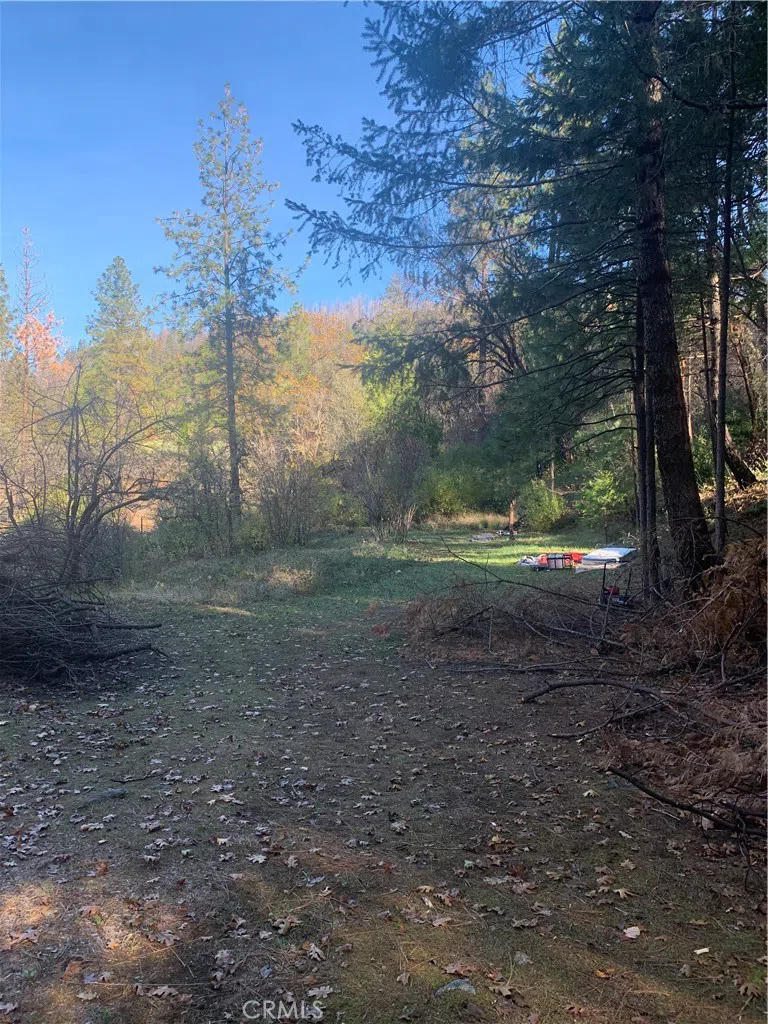 Four Trees Road Concow, CA 95965