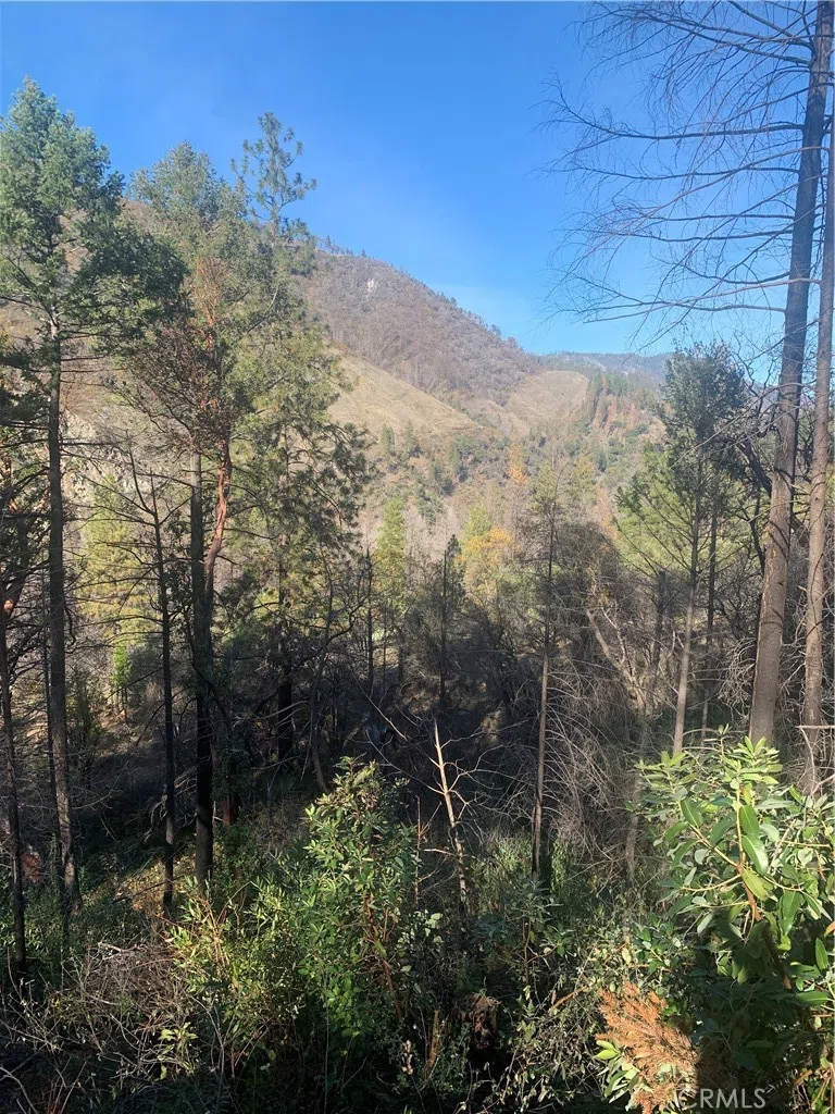 Four Trees Road Concow, CA 95965