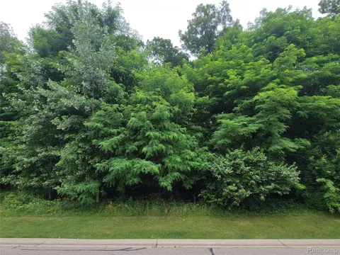 Pinemont