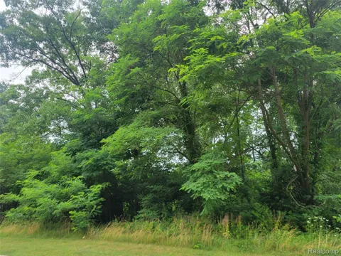 Pinemont