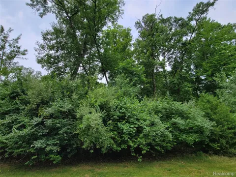 Pinemont