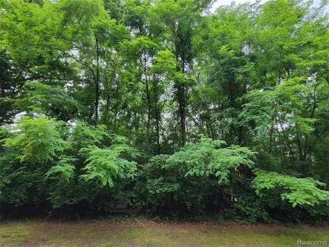 Pinemont