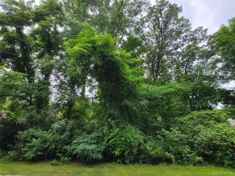 Pinemont