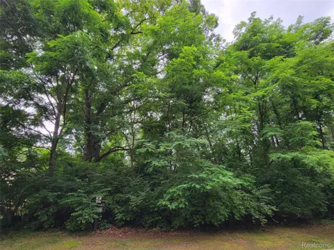 Pinemont