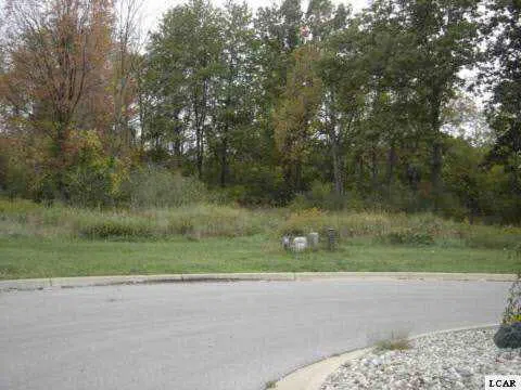1007 SAW MILL COURT Adrian City, MI 49221