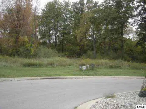 1001 SAW MILL COURT Adrian City, MI 49221