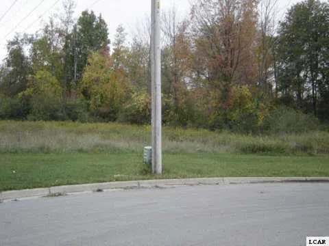 1005 SAW MILL COURT Adrian City, MI 49221