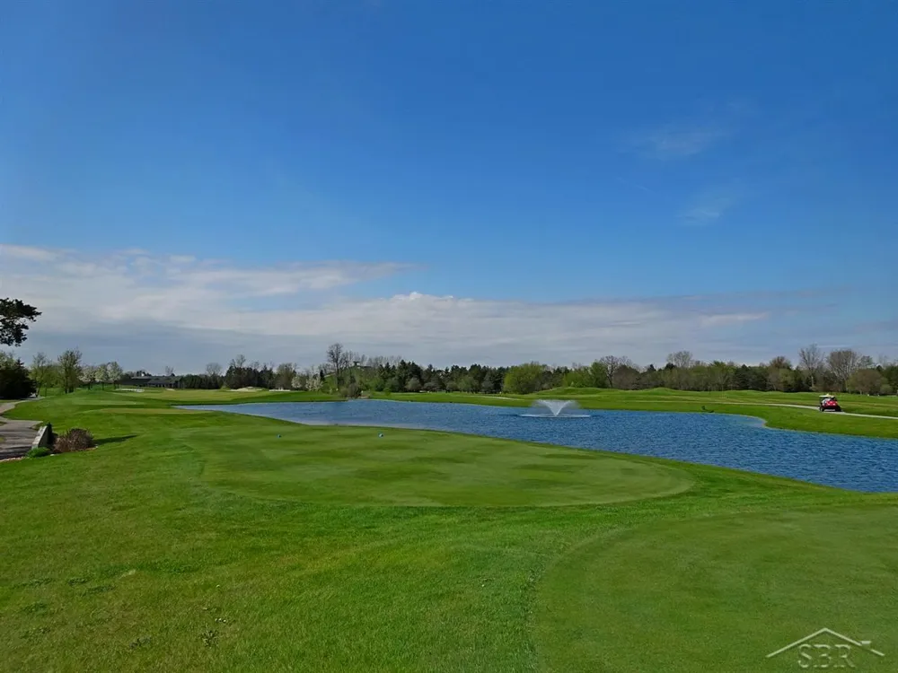 23 E Grove Lot Court Thomas Township, MI 48623