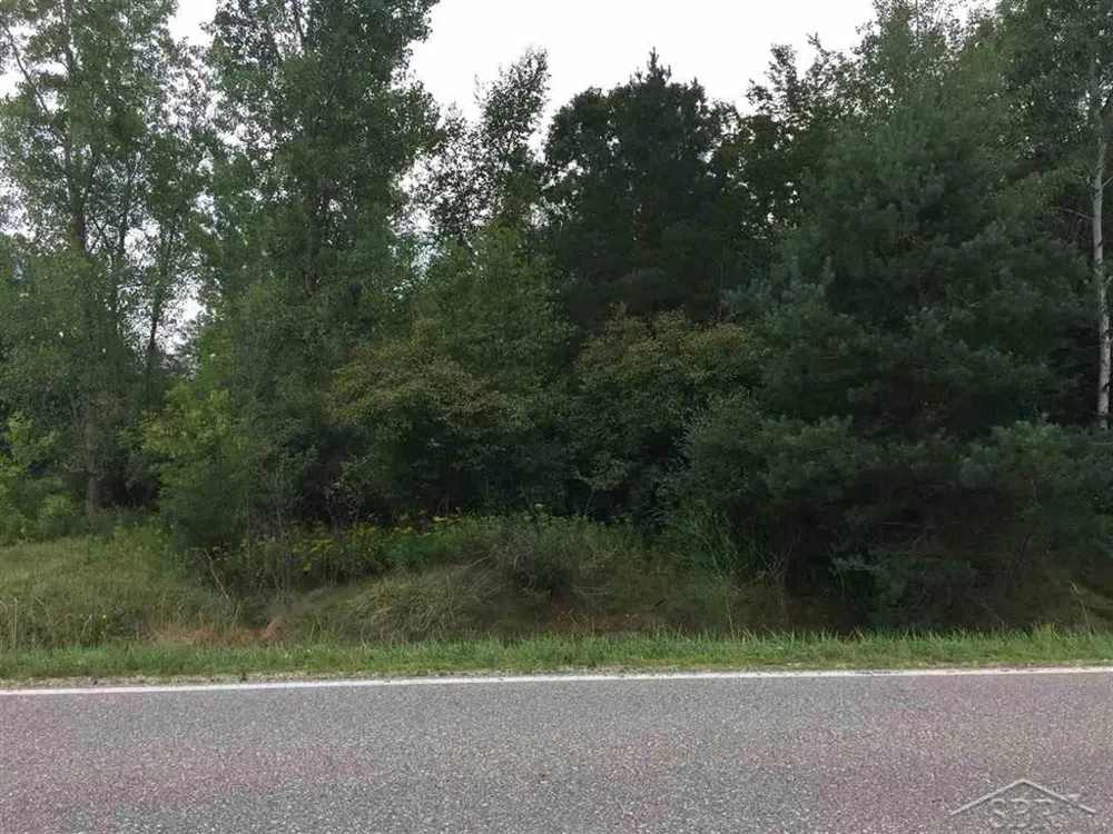 1166 E Freeland Road Mt Haley Township, MI 48637