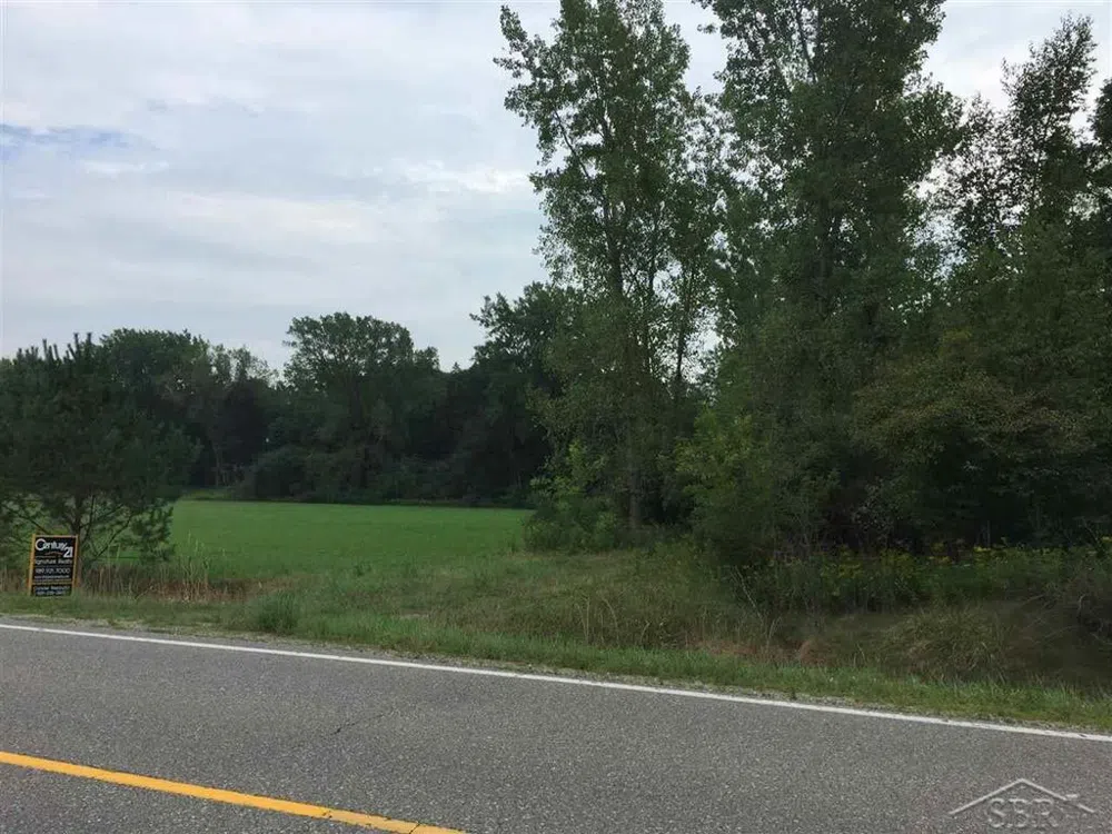 1166 E Freeland Road Mt Haley Township, MI 48637