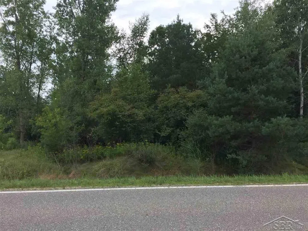 1166 E Freeland Road Mt Haley Township, MI 48637