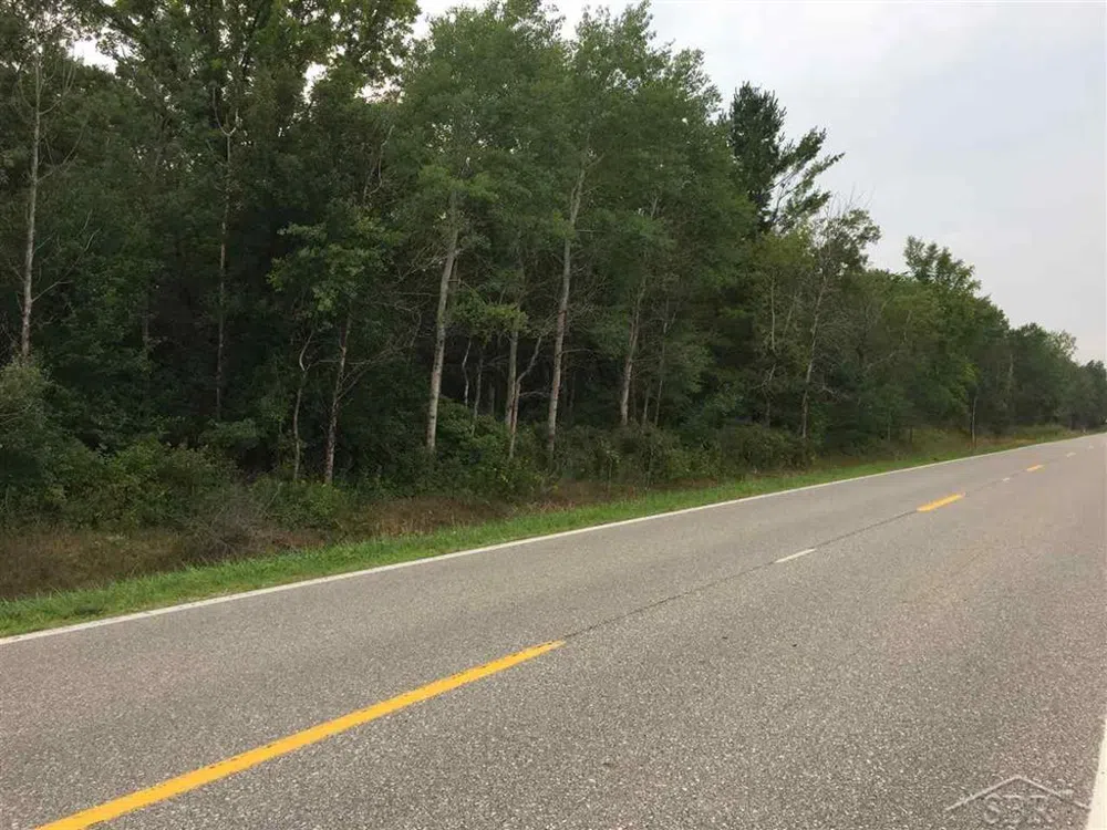 1166 E Freeland Road Mt Haley Township, MI 48637