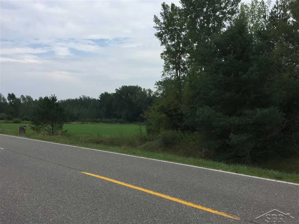 1166 E Freeland Road Mt Haley Township, MI 48637