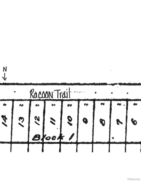 Racoon Trail