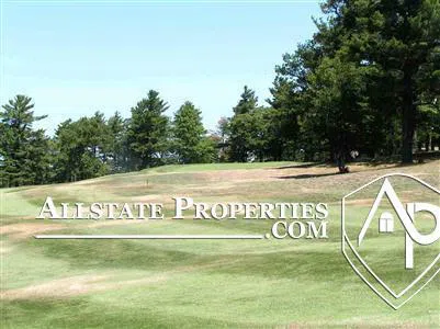 10415 Golfview Court Davison Township, MI 48423
