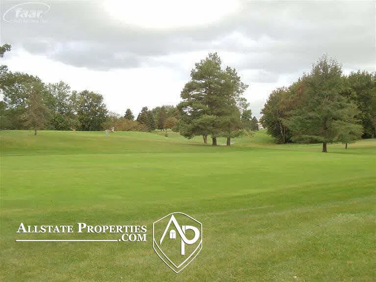 10415 Golfview Court Davison Township, MI 48423