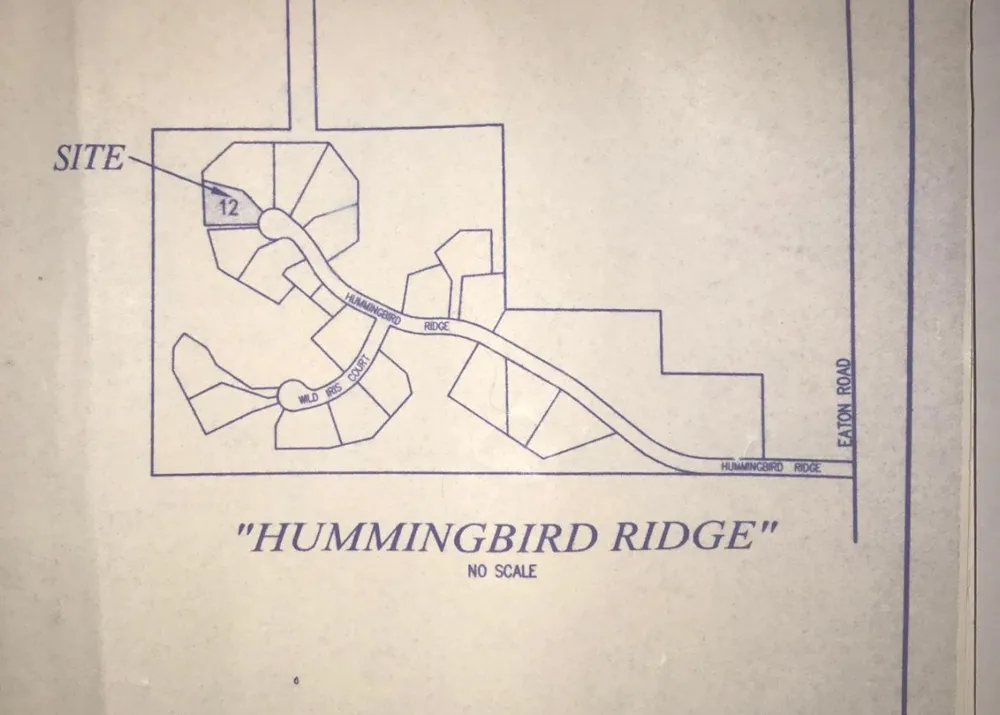 13175 Hummingbird Ridge Springfield Charter Township, MI 48350