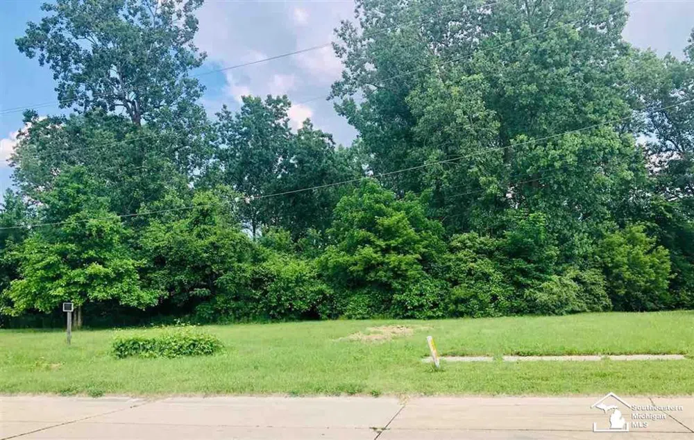 16277 Harrison Street Romulus City, MI 48174
