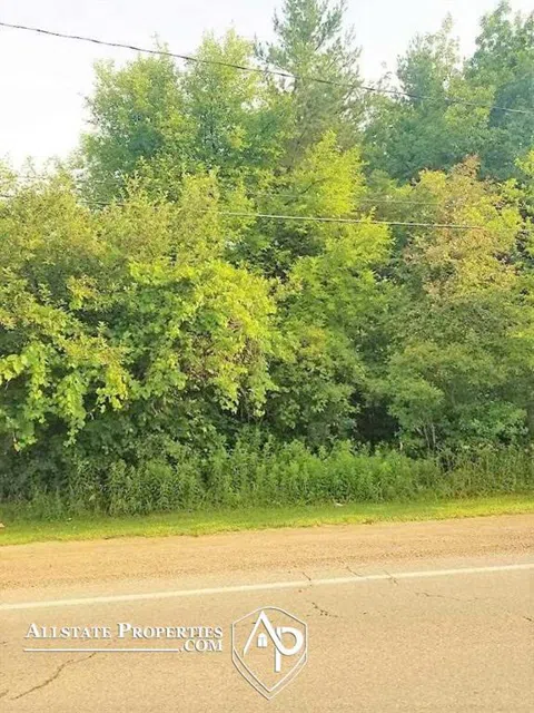 Lapeer Road
