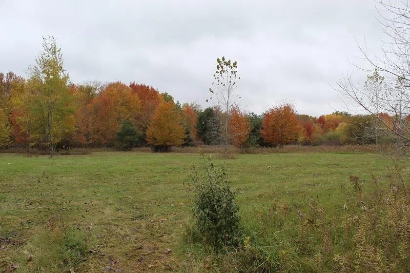 12113 Linden Rd Vienna Charter Township, MI 48420