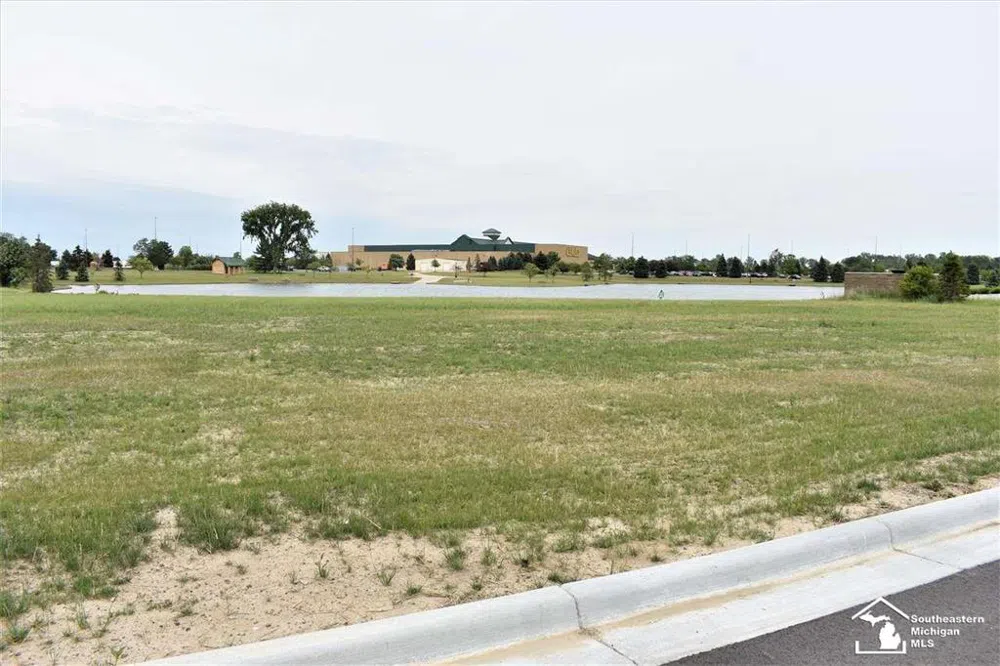 16484 Tecumseh Street Dundee Village, MI 48131