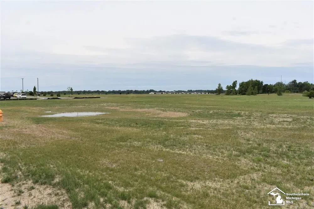 16488 Tecumseh Street Dundee Village, MI 48131