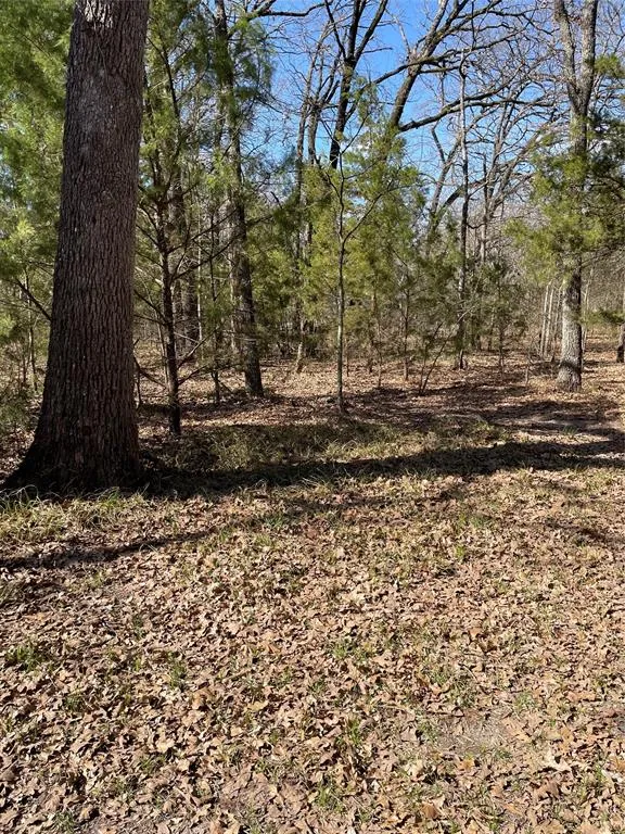 Double Bridge Road Mabank, TX 75156