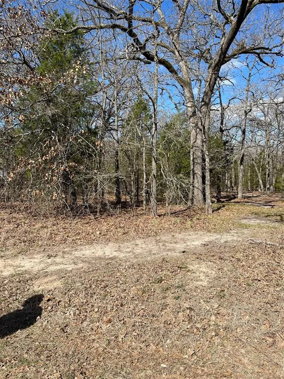 Double Bridge Road Mabank, TX 75156
