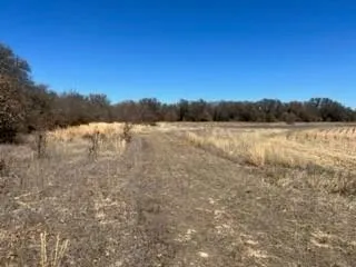 710 County Road 280 Rising Star, TX 76471